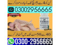 100-real-vimax-capsules-in-pakistan-03002956665-small-0