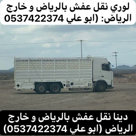 lory-nkl-aafsh-balryad-0537422374-big-0