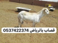 ksab-balryad-0537422374-small-0