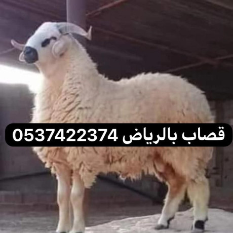 ksab-balryad-mahr-0537422374-big-0