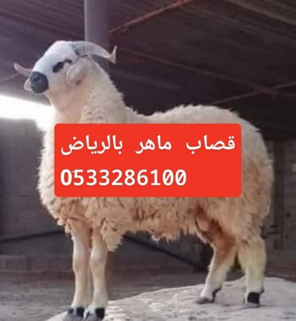 ksab-mahr-shmal-alryad-0533286100-big-0