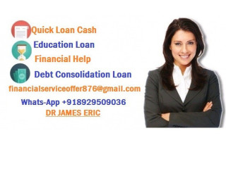 FINANCIAL LOAN SERVICE AND FINANCIAL LOAN COMPANY LOAN