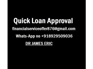 FINANCIAL LOAN SERVICE AND FINANCIAL LOAN COMPANY LOAN