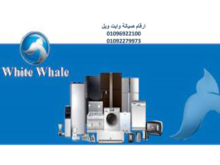 هاتف صيانة فريزرات whitewhale الدقي 01096922100