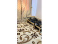 dyna-tsh-alathath-alkdym-balryad-0533286100-small-1