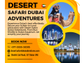 top-sandboarding-adventures-in-dubai-conquer-the-dunes-in-style-0555538395-small-0