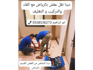 دينا رمي طش العفش القديم بالرياض 0َ558536273