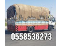 dyna-altkhls-mn-alathath-alkdym-balryad-0558536273-tsh-rmy-small-0