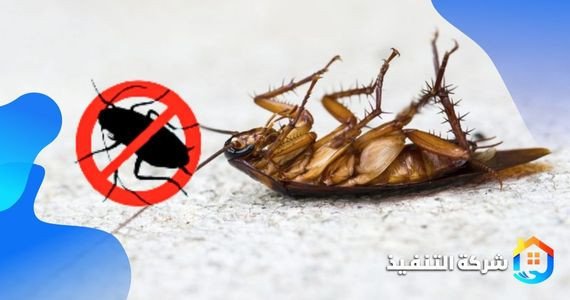 shrk-mkafh-alsrasyr-balryad-shrk-altnfyth-big-0