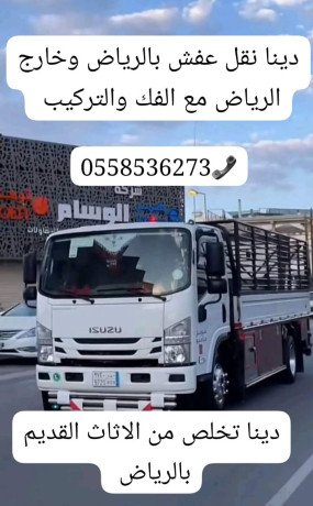 dyna-tsh-rmy-alaafsh-oalathath-alathath-alkdym-balryad-0558536273-tsh-rmy-big-0