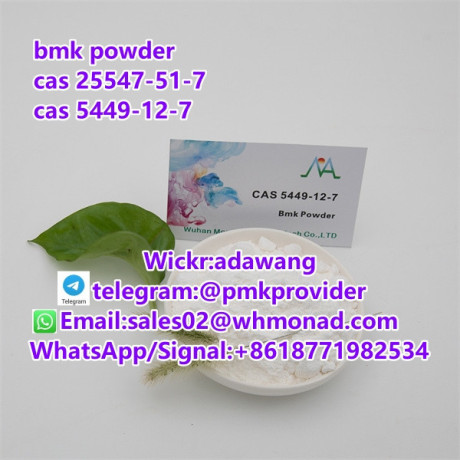 bmk-powder-cas-5449-12-7-to-netherland-safety-line-big-1