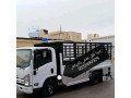 tsh-rmy-alathath-alkdym-balryad-0559803796-small-0