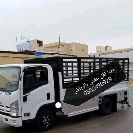 tsh-rmy-alathath-alkdym-balryad-0559803796-big-0