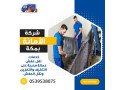 shrk-nkl-aafsh-bmk-mdmon-barkhs-alasaaar-shrk-alaman-0540206575-small-2