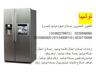 فرع صيانة ثلاجات توشيبا قنطره غرب 01092279973