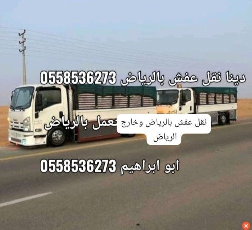 dyna-nkl-aafsh-lgmaay-alkhyryh-balryad-0558536273-tosyl-athath-big-0