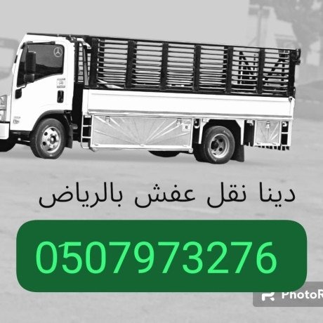 oanyt-nkl-aafsh-hy-aldkhl-almhdod-0533286100-big-0