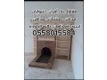 mkaol-bnaaa-afran-shoayat-mndy-small-1