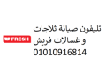 tokyl-syan-ghsalat-frysh-alklyoby-01095999314-small-0