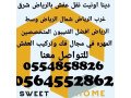 dyna-nkl-aafsh-balryad-0554858826-small-0