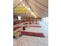 tagyr-krasy-bar-fy-alryad-taolat-bofyhknb-mlkymthlat-small-2