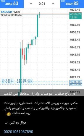 korsat-otosyat-oadar-mhfthtk-balashm-alsaaody-oalamryky-oalforks-oalthhb-baaaly-rbh-bmktbna-alastshary-bors-bros-big-1