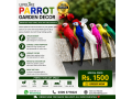 lifelike-parrot-garden-decor-in-pakistan-03003778222-small-0