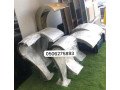 msbat-styl-llbyaa-fy-alryad-small-0