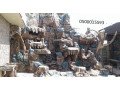 bdyl-alrkham-aldmam-small-4