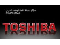 tokyl-syan-toshyba-sharaa-altsaayn-01112124913-small-0