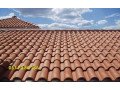 krmyd-otny-alryad-krmyd-asbany-krmyd-aytaly-186-86-70-053-small-4